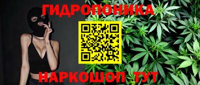 прущий лед Новозыбков